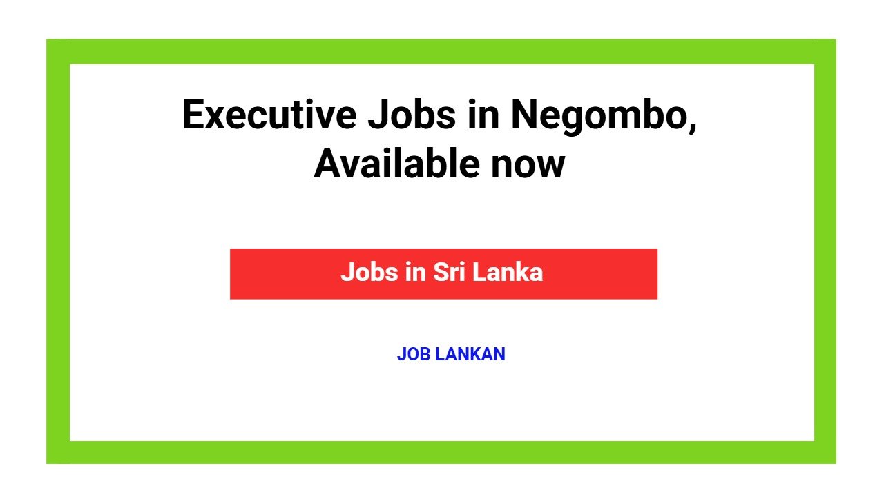 Executive Jobs in Negombo, Available now